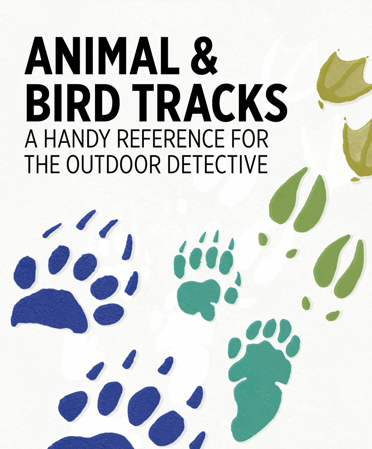 Pomegranate Animal & Bird Tracks videnskort 48 stk dyrespor
