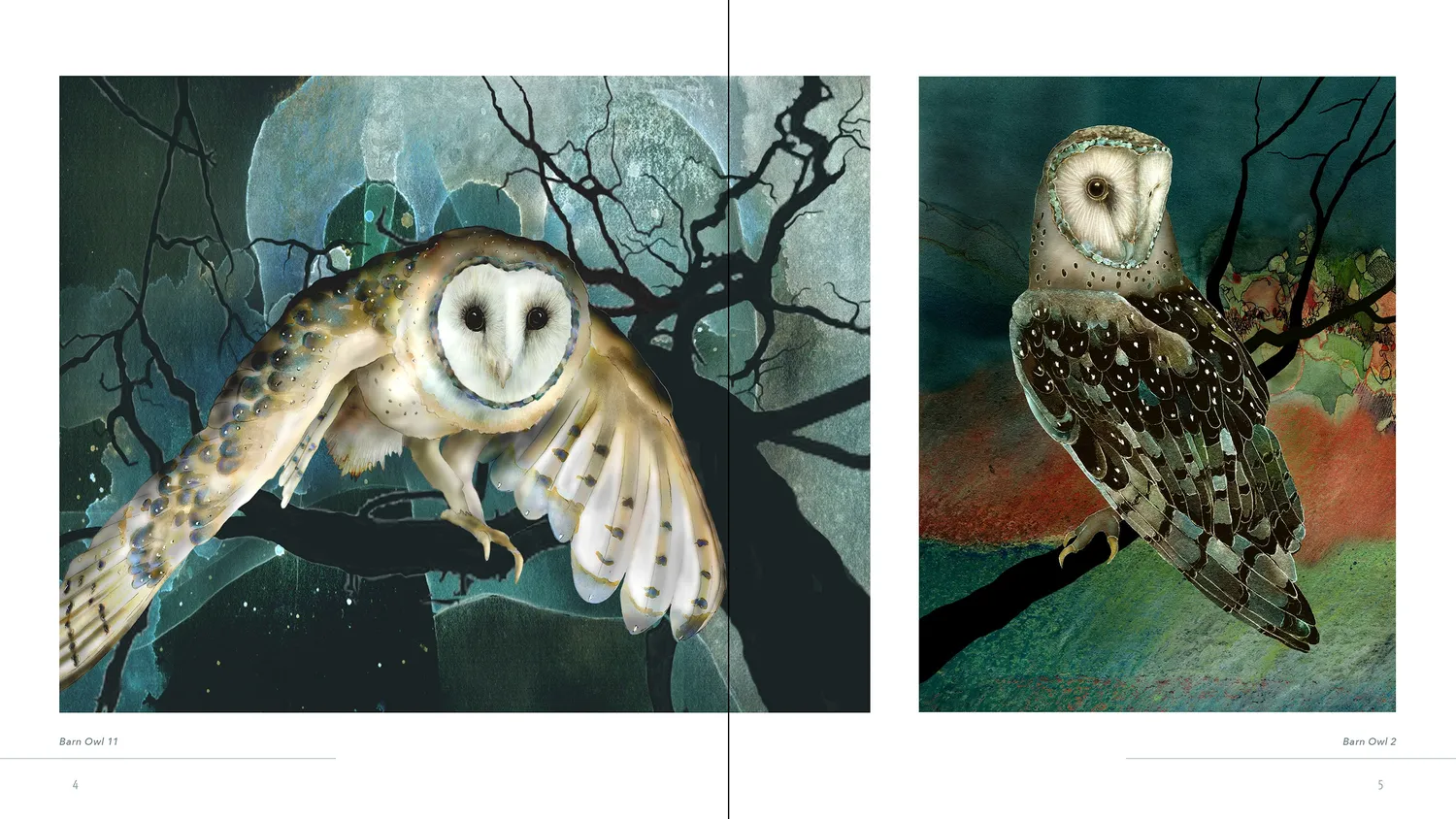 Pomegranate Owls Jeannine Chappell bog uglemaleri