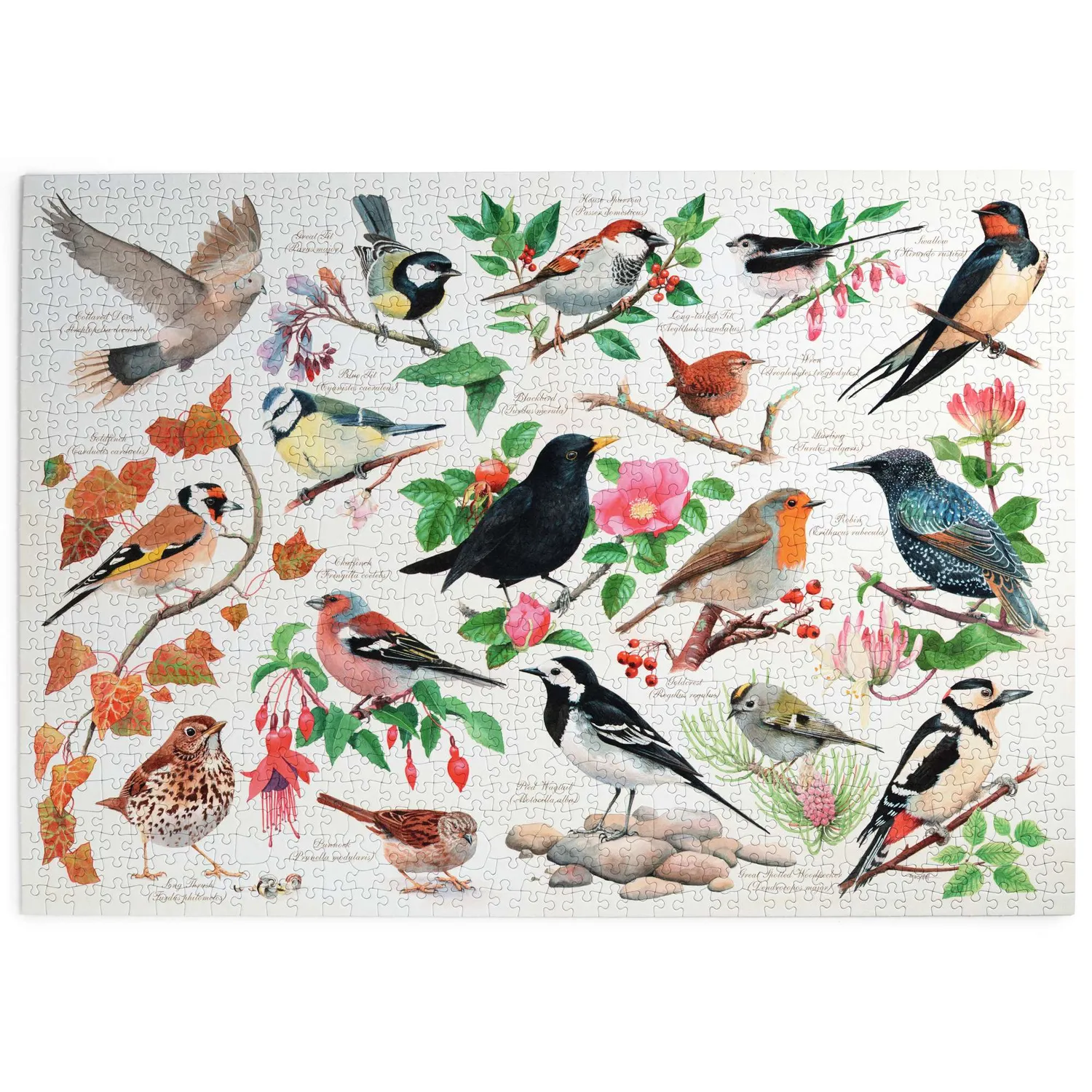 House of Puzzles Birds In My Garden 1000 brikker puslespil fugle