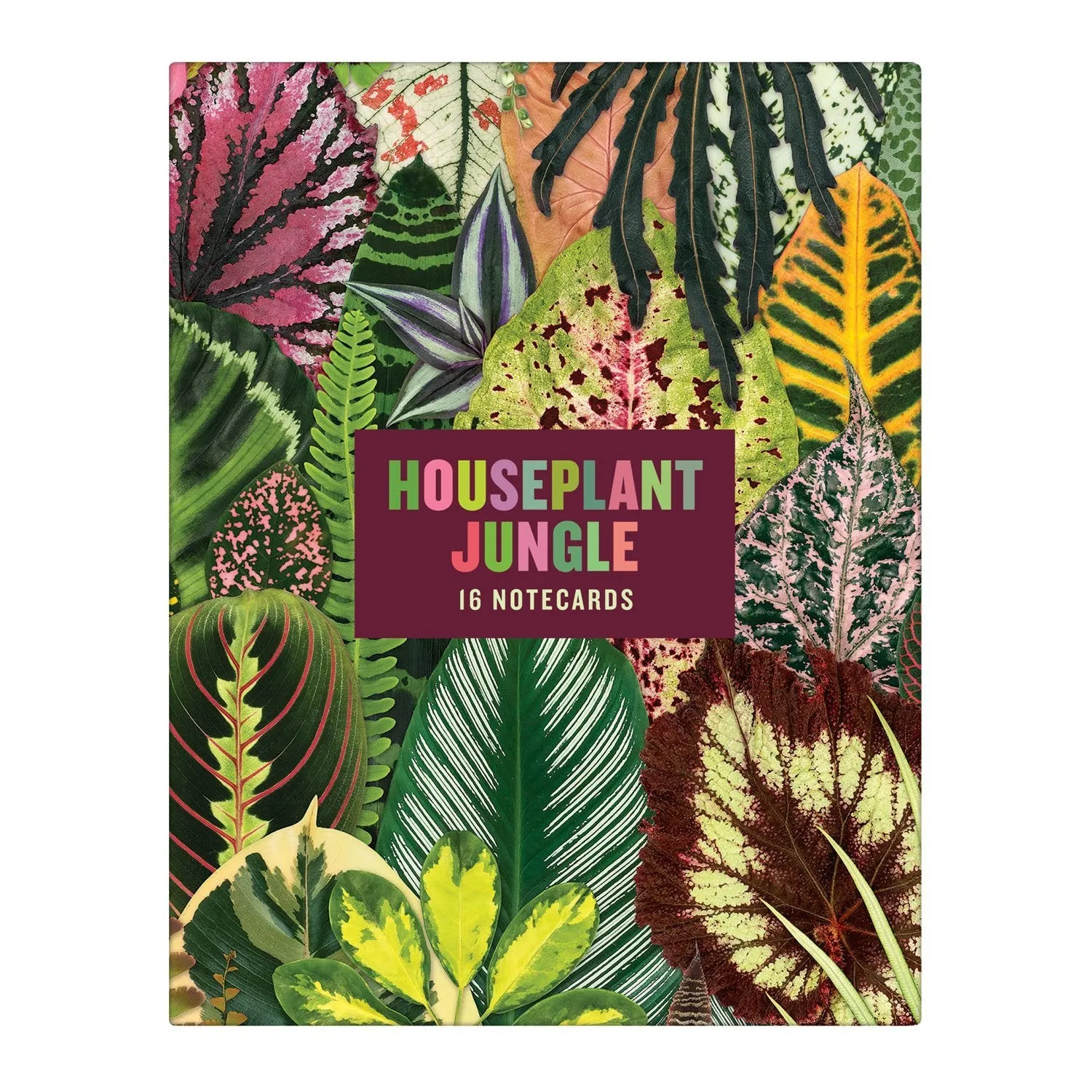 Good Puzzle Co. Houseplant Jungle kortæske 16 kort planter