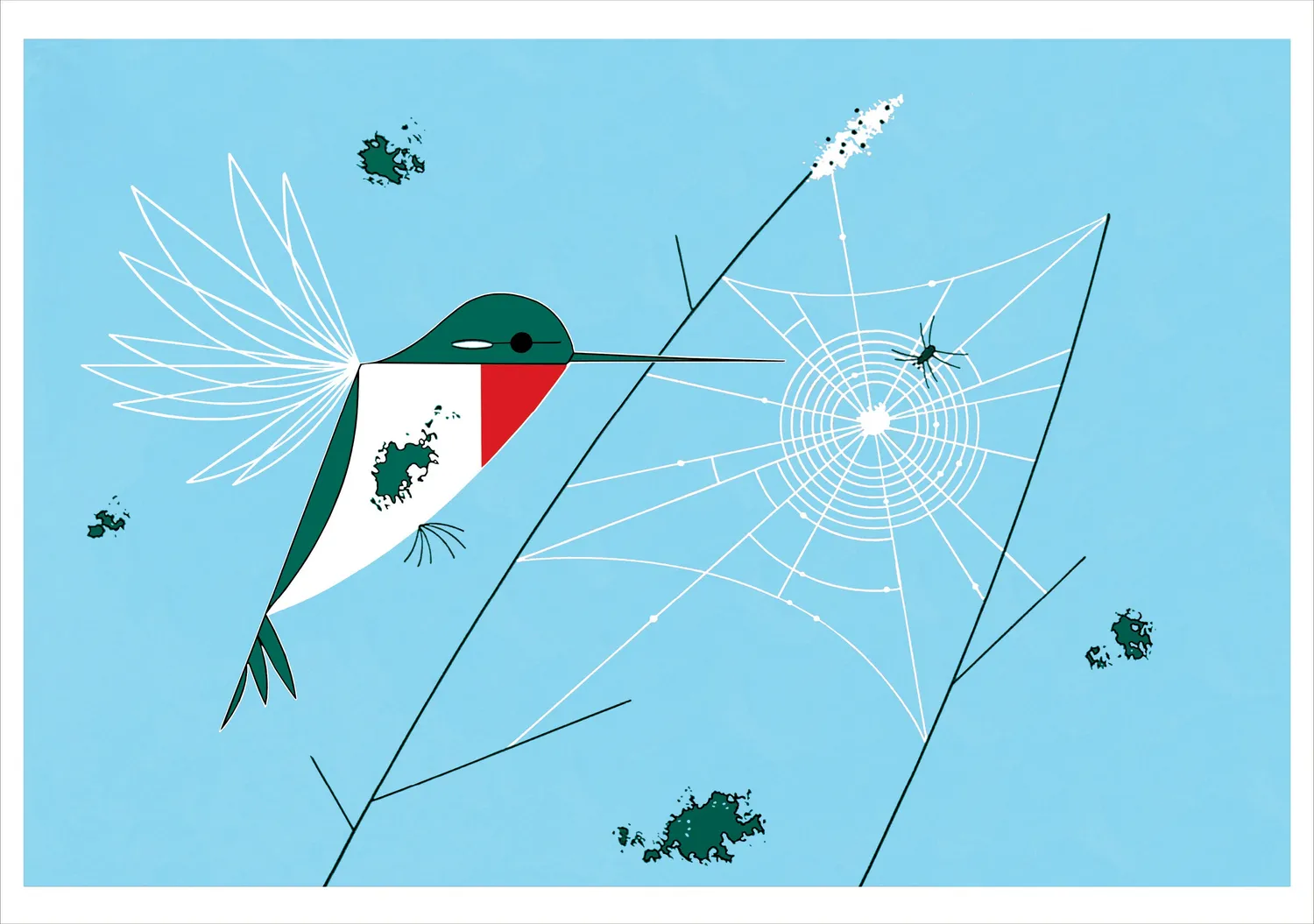 Pomegranate Charley Harper Hummingbirds kortmappe