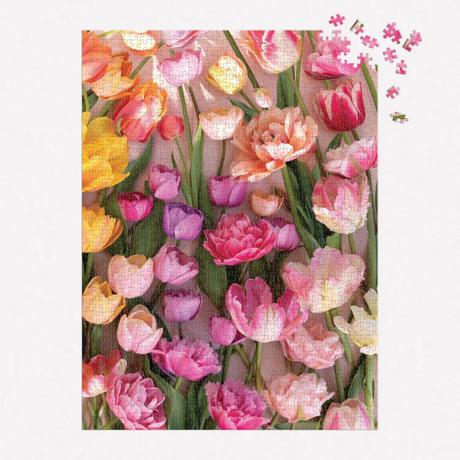 Galison Christine Chitnis Ephemeral Tulips puslespil 1000 brikker