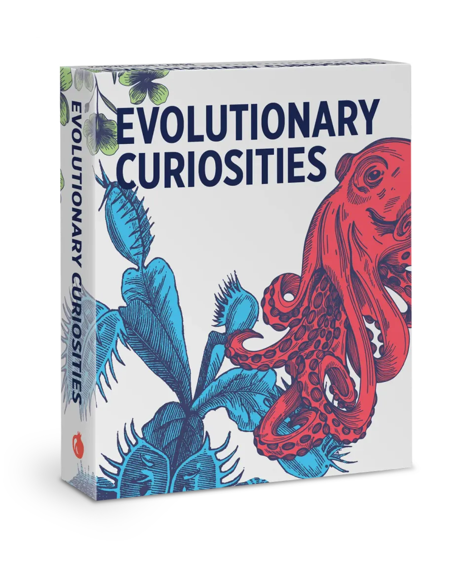 Pomegranate Evolutionary Curiosities videnskort 48 kort natur