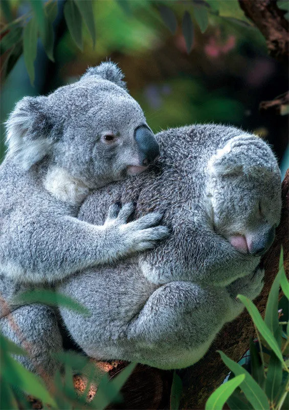 Buffalo Games Earthpix Bear Hug puslespil 500 brikker koala