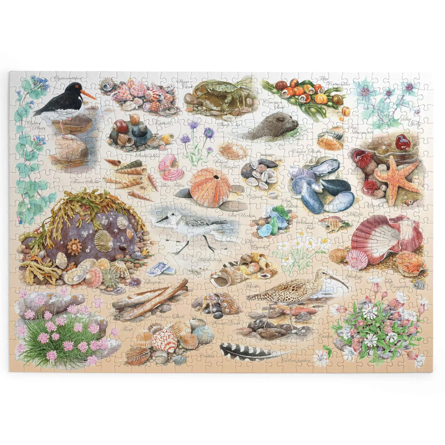 House of Puzzles BIG Sea Shore puslespil 500 brikker strand dyr