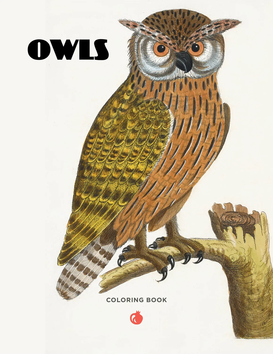 Pomegranate Owls malebog med ugler til voksne