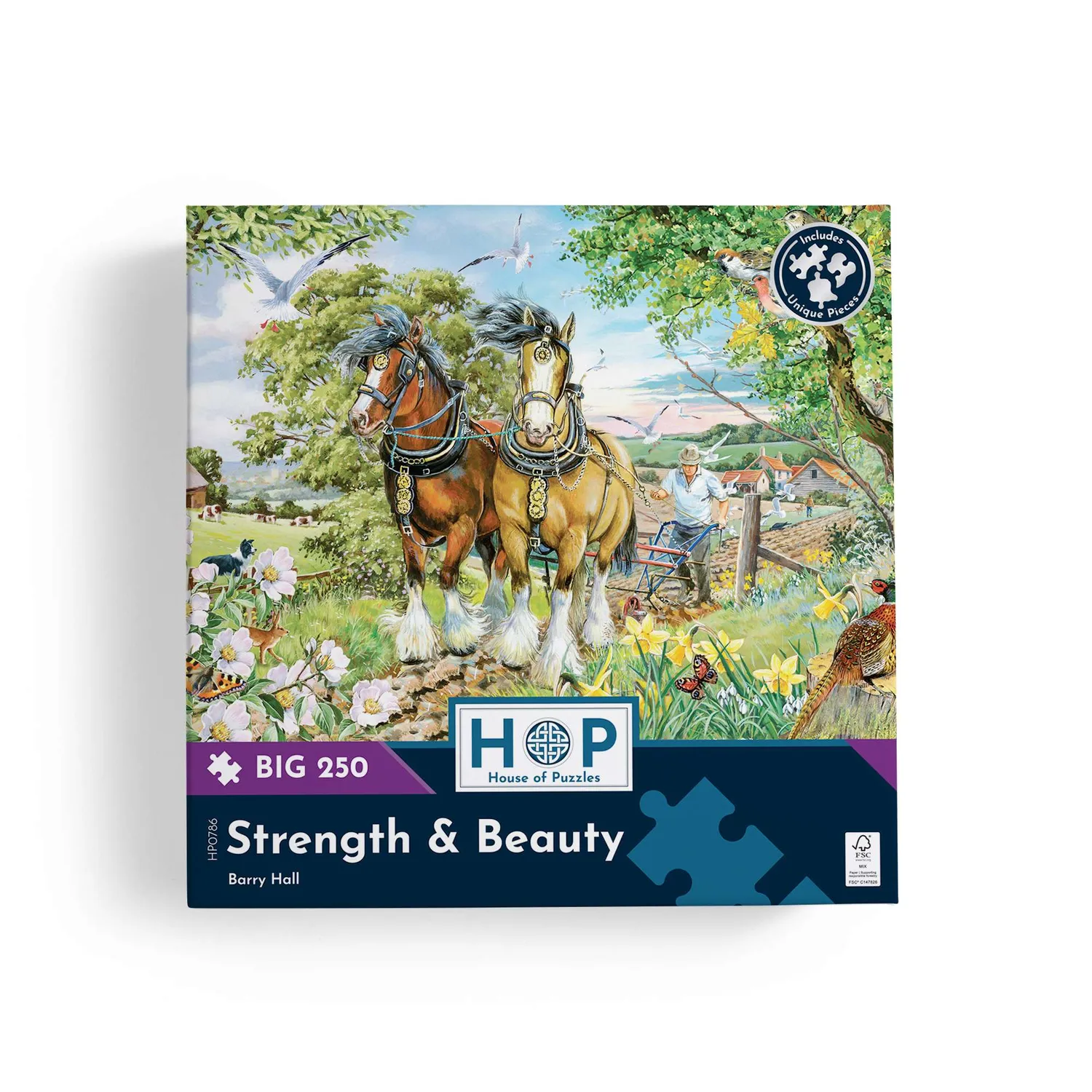 House of Puzzles BIG Strength & Beauty puslespil 250 store brikker