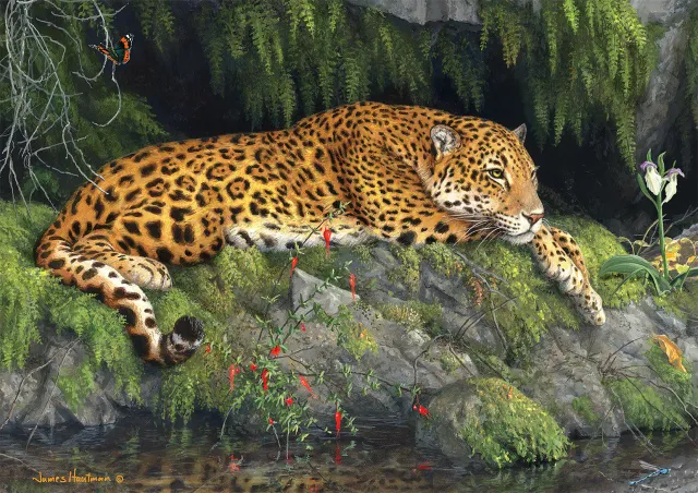 Buffalo Games Hautman Jaguar and Butterfly puslespil 300 brikker