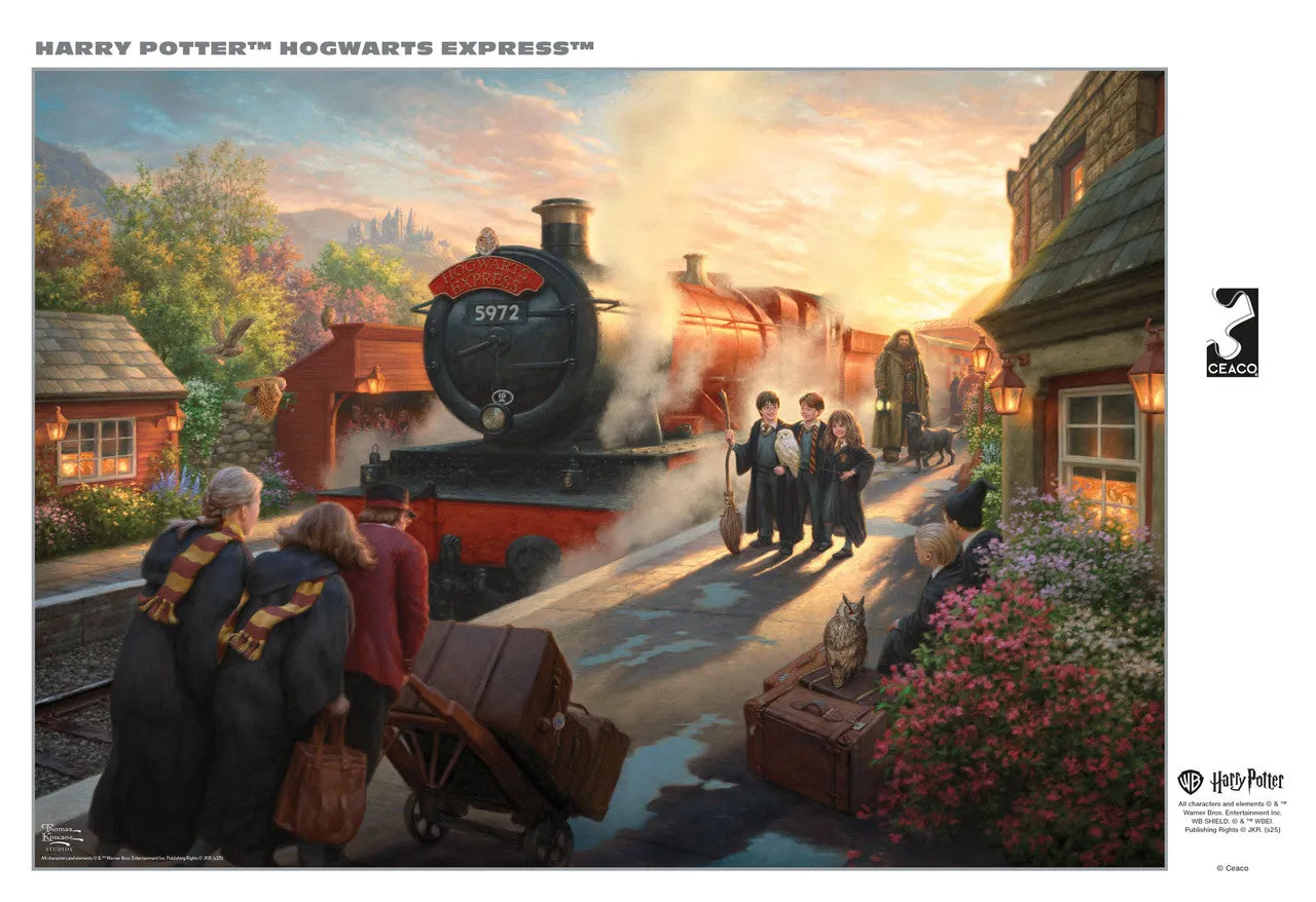 Buffalo Games Silver Select Hogwarts Express puslespil 500 Thomas Kinkade