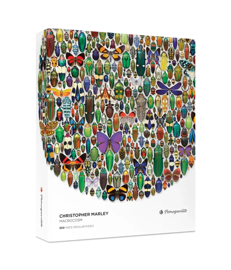 Pomegranate Macrocosm puslespil 500 brikker rund