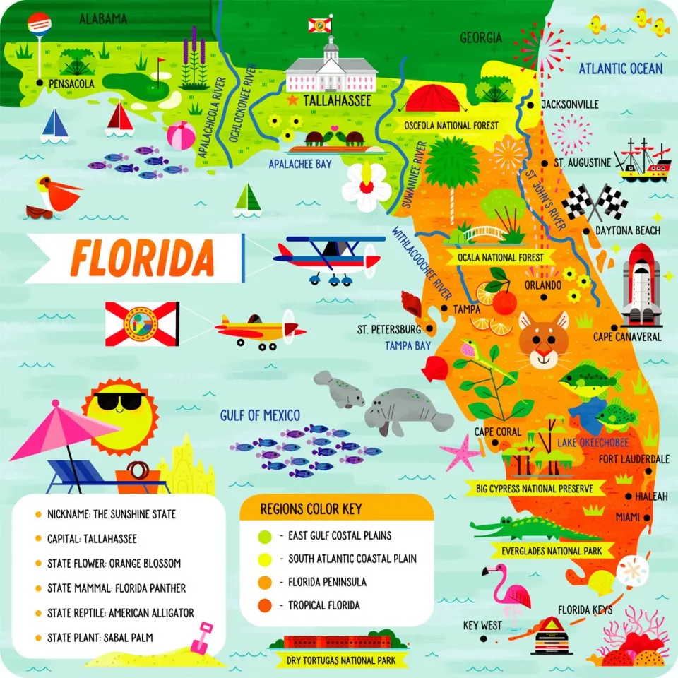 Little Buffalo Florida gulvpuslespil 49 brikker kort