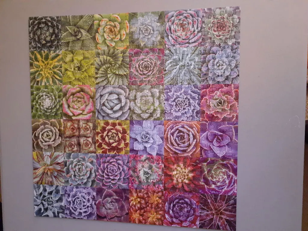 Galison Litten Succulent Spectrum 500 puslespil 500 brikker farver