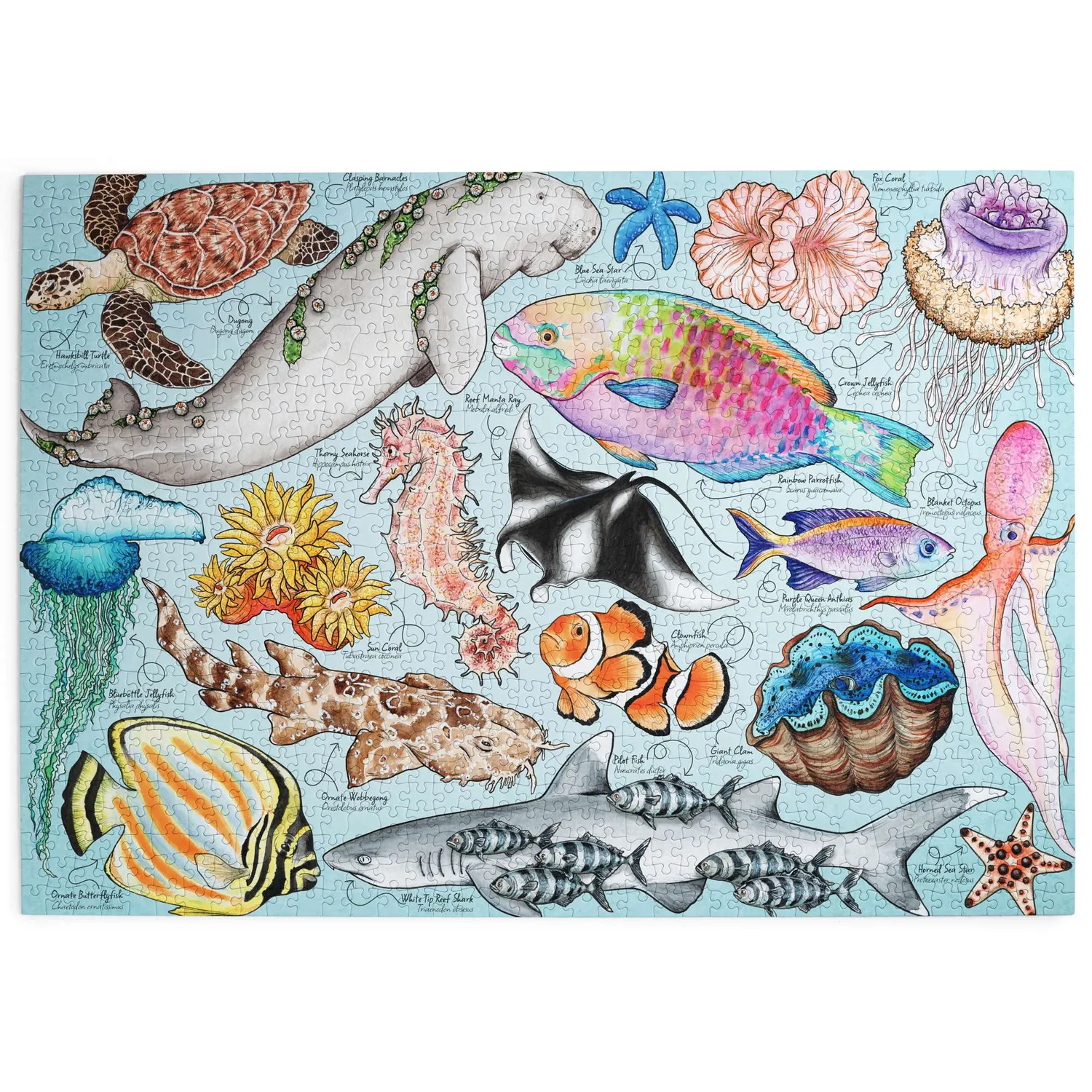 House of Puzzles Great Barrier Reef puslespil 1000 brikker hav